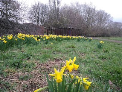 Buckingham Edible Woodland