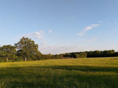 Gavray Wildlife Meadows