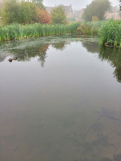 Humphries Drive Pond