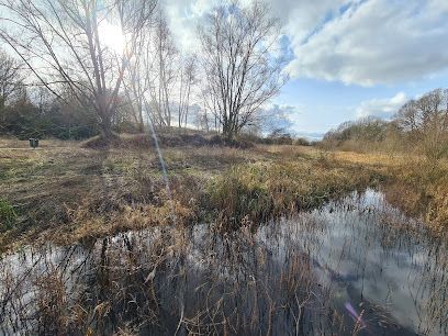 Tove Wetland Pocket Park
